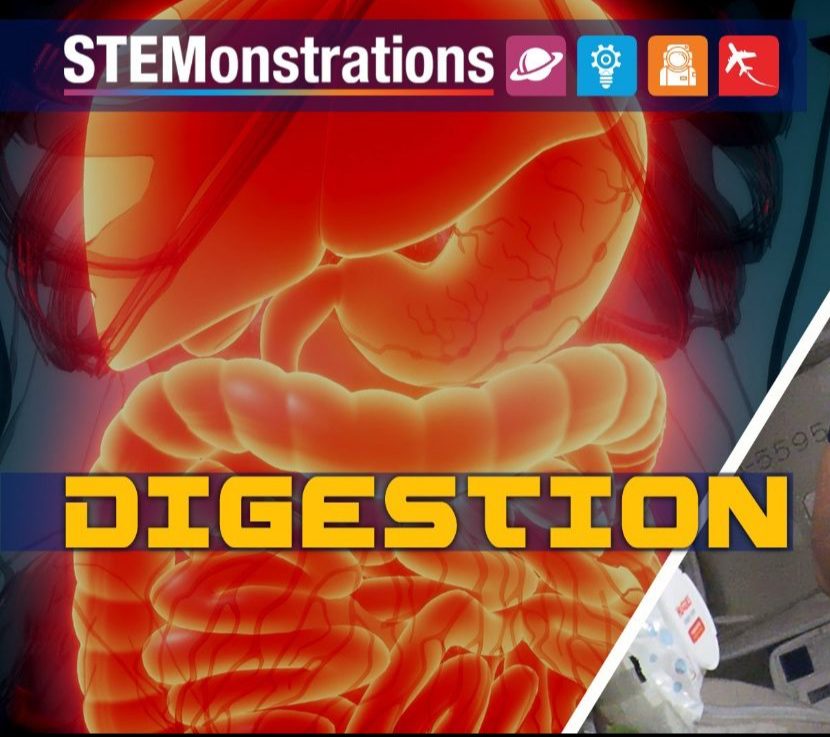 🚀 New STEMonstration: Digestion JUST released!